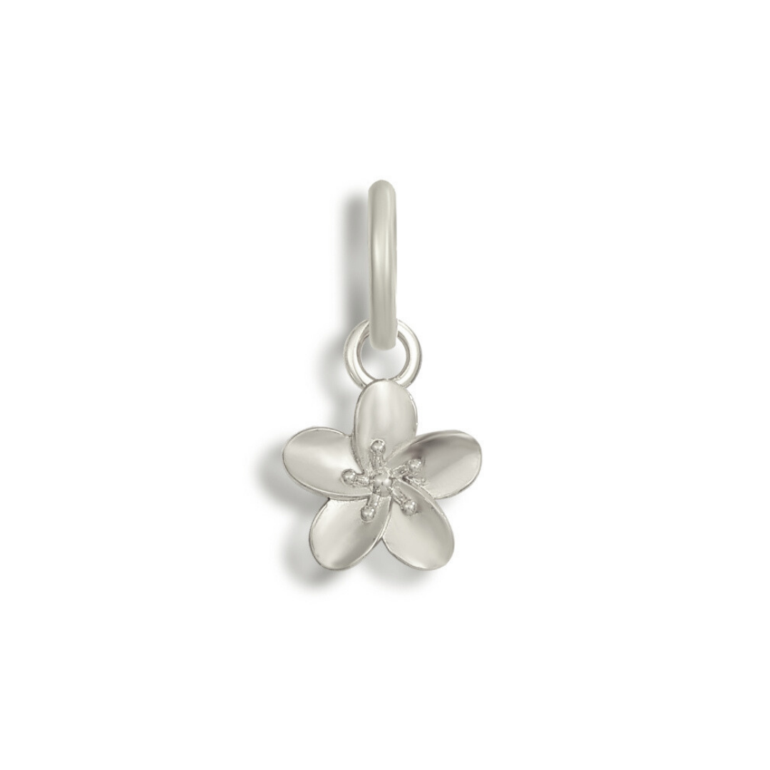 Bikini Charms